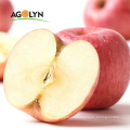 Bulk Apple Fruits Fresh Style Organic Red Qinguan Apple